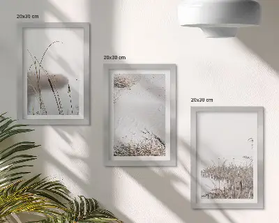 Sada tří obrazů vodní vegetace s jemnými letními výhledy