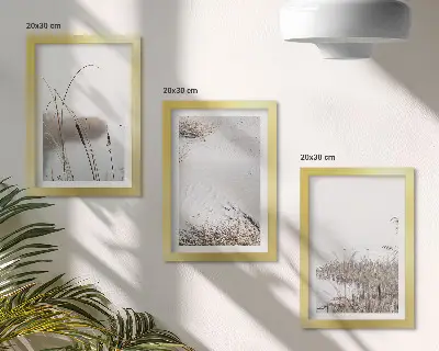 Sada tří obrazů vodní vegetace s jemnými letními výhledy