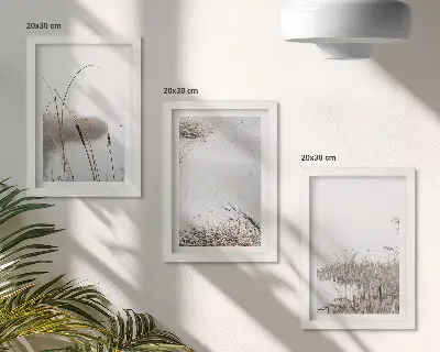 Sada tří obrazů vodní vegetace s jemnými letními výhledy