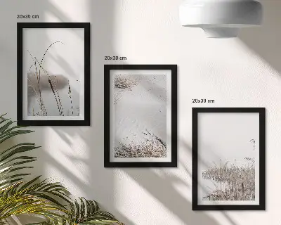 Sada tří obrazů vodní vegetace s jemnými letními výhledy
