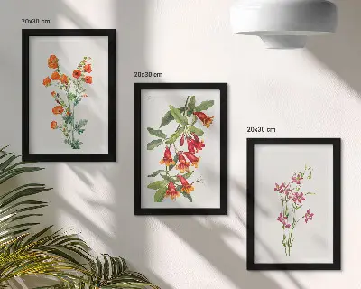 Sada tří obrazů vintage retro s květinovým motivem