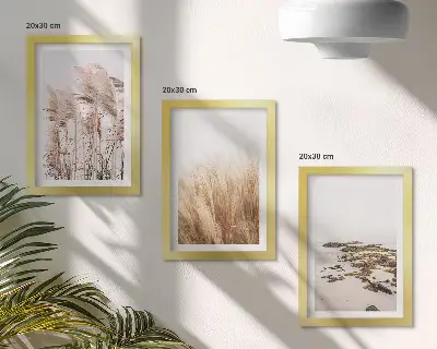 Vícedílný obraz v rámu s motivem pampové trávy na bohémské pláži