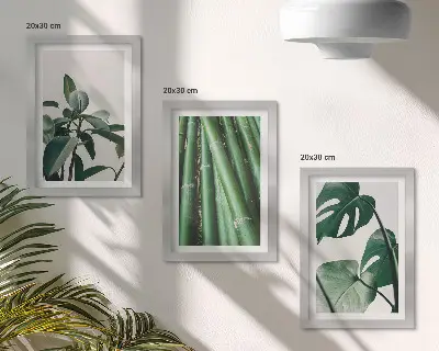 Sada tří obrazů s bambusovými stonky a listy monstery