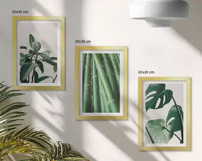 Sada tří obrazů s bambusovými stonky a listy monstery