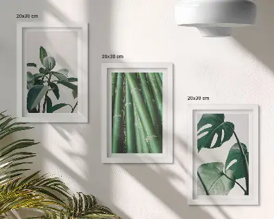 Sada tří obrazů s bambusovými stonky a listy monstery