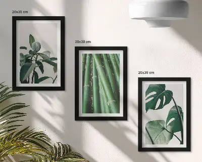 Sada tří obrazů s bambusovými stonky a listy monstery