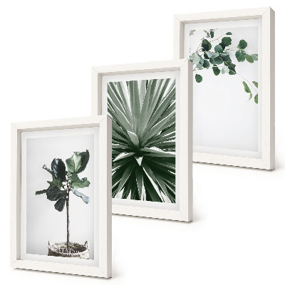Sada tří obrazů Zelené rostliny v minimalistickém stylu
