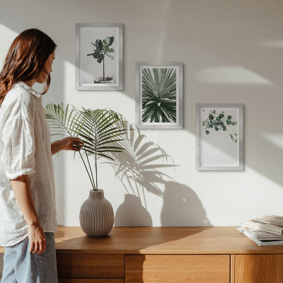 Sada tří obrazů Zelené rostliny v minimalistickém stylu