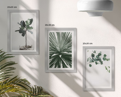 Sada tří obrazů Zelené rostliny v minimalistickém stylu