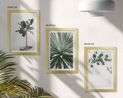 Sada tří obrazů Zelené rostliny v minimalistickém stylu