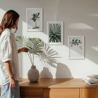 Sada tří obrazů Zelené rostliny v minimalistickém stylu