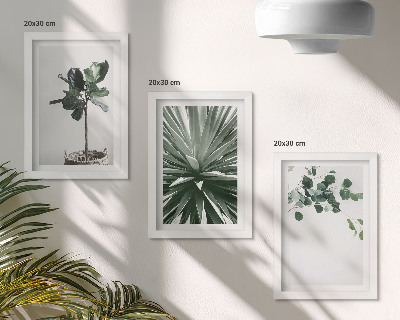 Sada tří obrazů Zelené rostliny v minimalistickém stylu