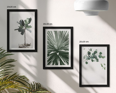 Sada tří obrazů Zelené rostliny v minimalistickém stylu