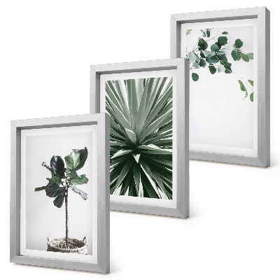 Sada tří obrazů Zelené rostliny v minimalistickém stylu