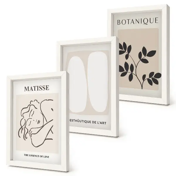 Sada obrazů na zeď stylové minimalistické obrazy s rostlinnými motivy od Matisse