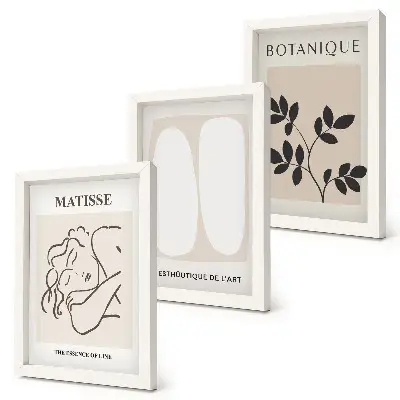 Sada obrazů na zeď stylové minimalistické obrazy s rostlinnými motivy od Matisse