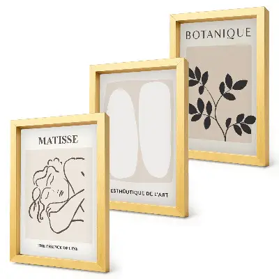 Sada obrazů na zeď stylové minimalistické obrazy s rostlinnými motivy od Matisse