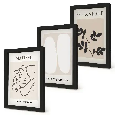 Sada obrazů na zeď stylové minimalistické obrazy s rostlinnými motivy od Matisse