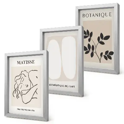 Sada obrazů na zeď stylové minimalistické obrazy s rostlinnými motivy od Matisse