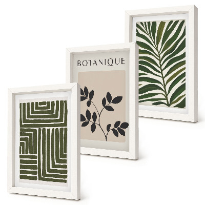 Sada tří obrazů Botanické kompozice ve stylu boho minimalismu