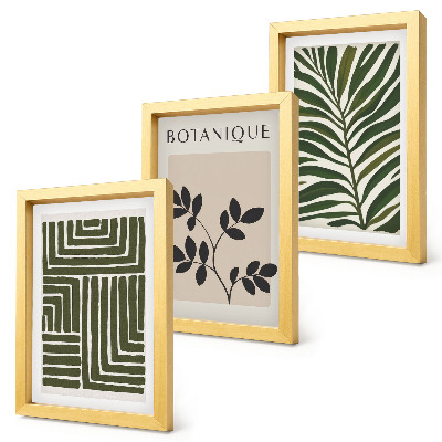 Sada tří obrazů Botanické kompozice ve stylu boho minimalismu