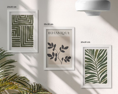 Sada tří obrazů Botanické kompozice ve stylu boho minimalismu