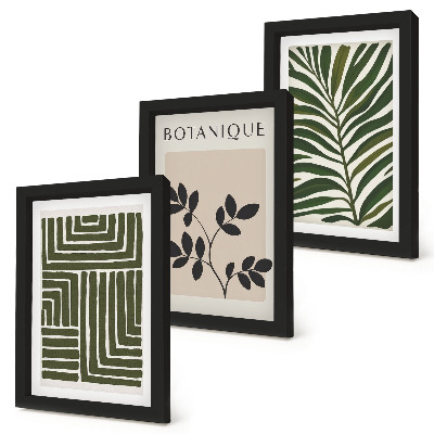 Sada tří obrazů Botanické kompozice ve stylu boho minimalismu