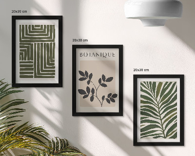 Sada tří obrazů Botanické kompozice ve stylu boho minimalismu