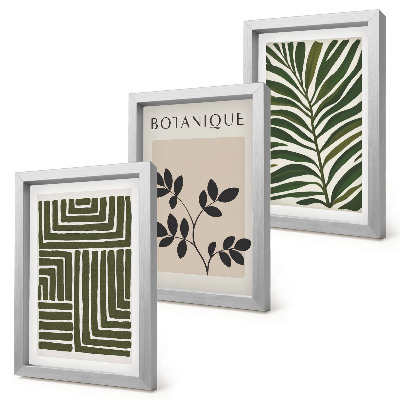 Sada tří obrazů Botanické kompozice ve stylu boho minimalismu