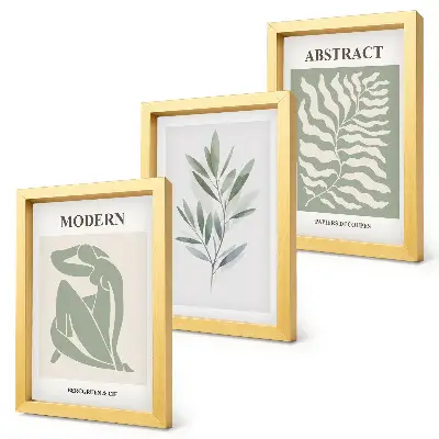 Sada obrazů na zeď akvarelový design s boho rostlinami v duchu Matisse