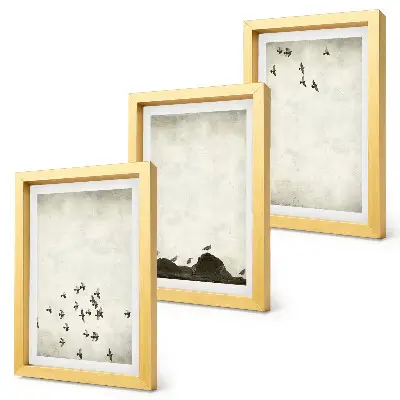 Sada obrazů na zeď ptáci za letu v minimalistickém stylu