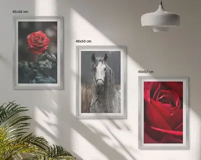 Sada 3 obrazů červené růže a šedý svět s koňmi