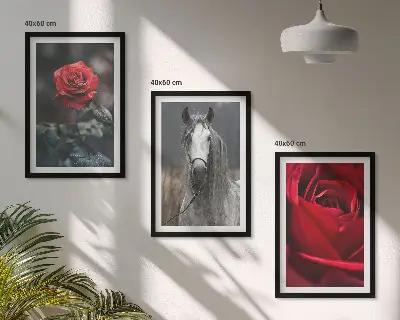 Sada 3 obrazů červené růže a šedý svět s koňmi