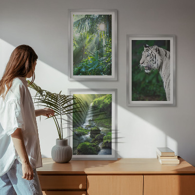 Sada 3 obrazů Vodopád tygří džungle