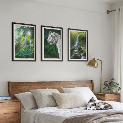 Sada 3 obrazů Vodopád tygří džungle