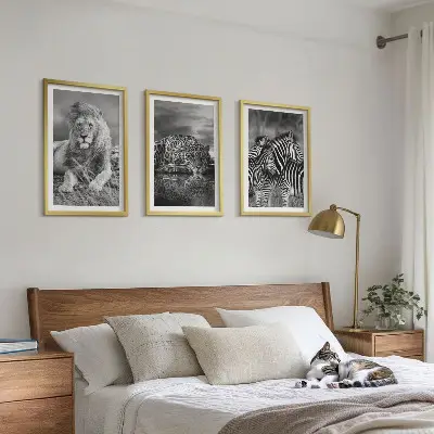 Divoká zvířata savany sada 3 obrazů