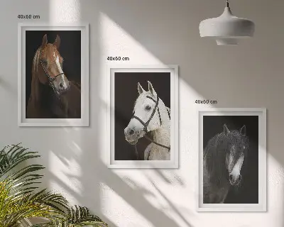 Sada obrazů do obývacího pokoje portréty koní v odstínech srsti