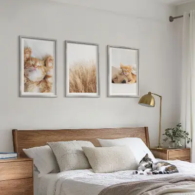 Kompozice obrazů na stěnu roztomilá zvířata kočky a psi v boho stylu