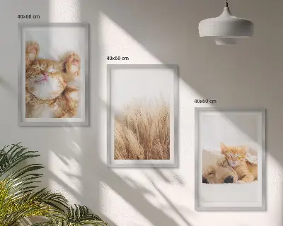 Kompozice obrazů na stěnu roztomilá zvířata kočky a psi v boho stylu