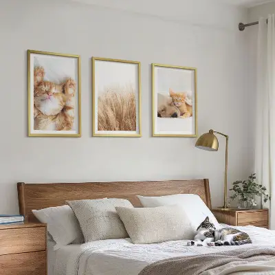 Kompozice obrazů na stěnu roztomilá zvířata kočky a psi v boho stylu