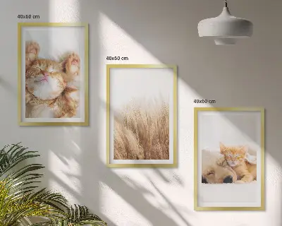 Kompozice obrazů na stěnu roztomilá zvířata kočky a psi v boho stylu