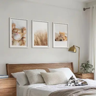 Kompozice obrazů na stěnu roztomilá zvířata kočky a psi v boho stylu