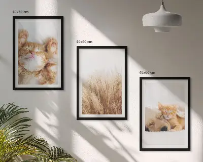 Kompozice obrazů na stěnu roztomilá zvířata kočky a psi v boho stylu