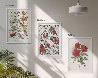 Sada 3 obrazů motýli a červené růže