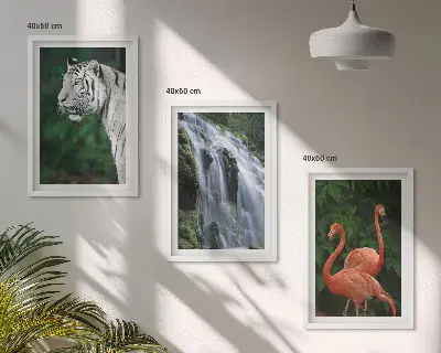Sada obrazů do obývacího pokoje s motivem tygra, vodopádu a plameňáků v přírodě