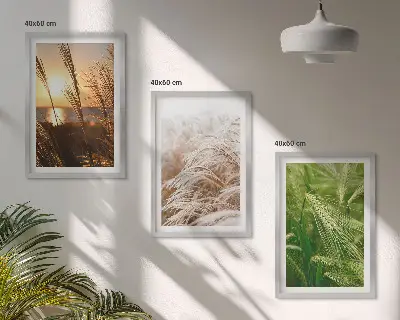 Sada obrazů do obývacího pokoje barevná příroda s motivem travin