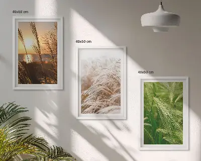 Sada obrazů do obývacího pokoje barevná příroda s motivem travin