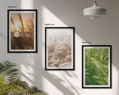 Sada obrazů do obývacího pokoje barevná příroda s motivem travin