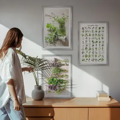 Sada obrazů do obývacího pokoje se sušenými bylinkami do kuchyně