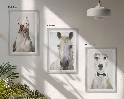 Sada 3 obrazů elegantní portréty psů a koní